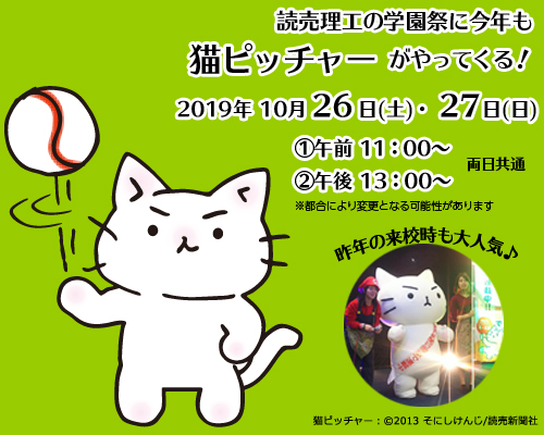 猫ピッチャー来校